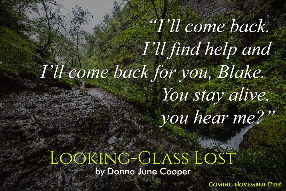 Teaser Quote from Looking-Glass Lost